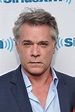 Ray Liotta | 45 Famous, Sexy Silver Foxes | POPSUGAR Celebrity