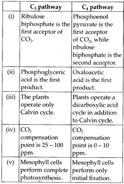 Chapter 13 Photosynthesis In Higher Plants Horizon Learning