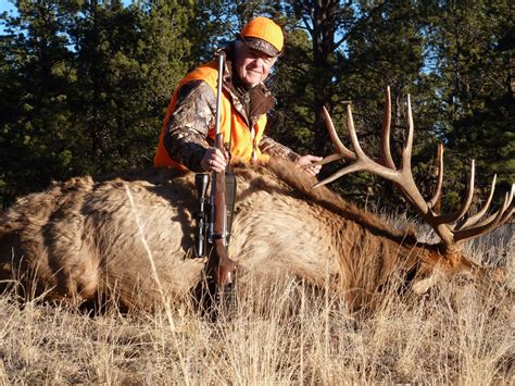 5 Day Fully Outfitted Colorado Archery Bull Elk Hunt For Two 2 Hunters