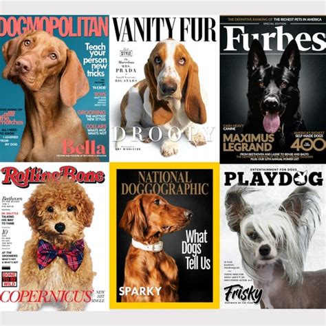 Digital File Magazine Covers Pet Portraits Custom Pet Etsy