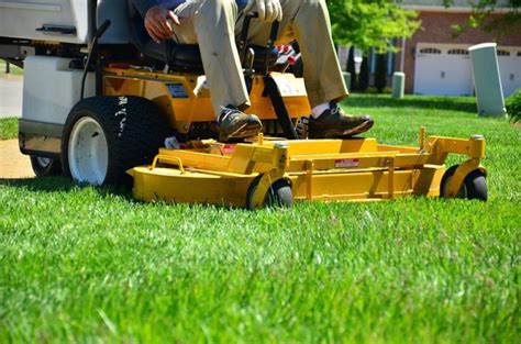 5 Major Benefits Of Hiring Professional Lawn Care Services Little