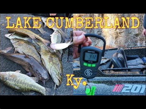 Fall Smallmouth Lake Cumberland Ky Pt Epic Day Youtube