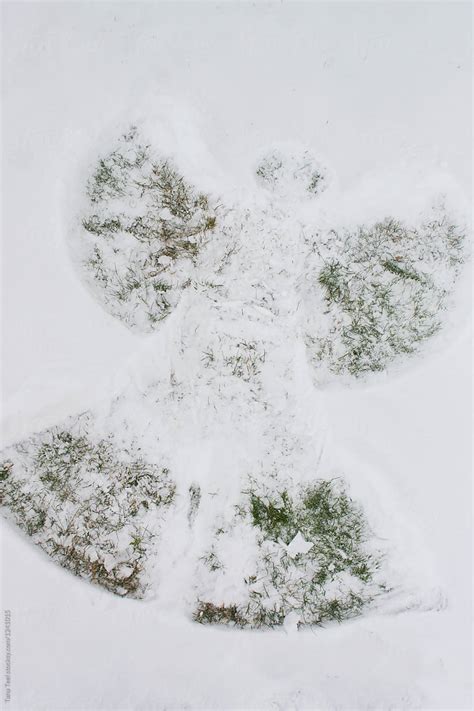Snow Angel With Grass Peeking Through By Tana Teel Angel Snow