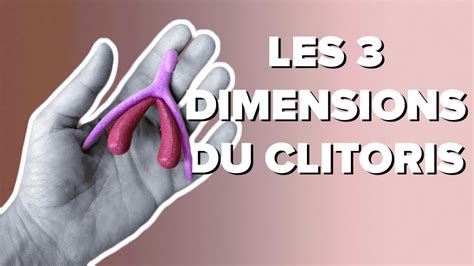 Les Dimensions Du Clitoris Youtube