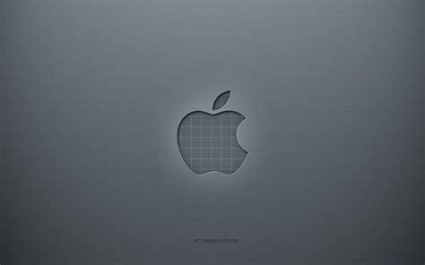 Apple Logo Gray Creative Background Apple Emblem Gray Paper Texture