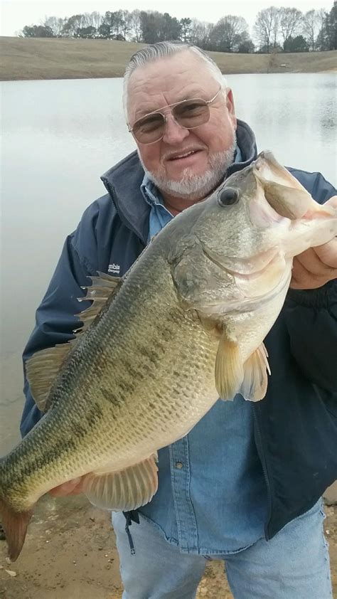 There are numerous lakes and rivers where you can locate the feisty, elusive species. Fishing Report, Lake Guntersville 12-18-16 | Alabama Bass ...