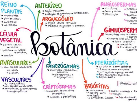 Biologia Google Drive Areas Da Biologia Resumos Enem Planos De