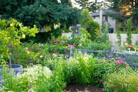 4 Easy Care Flower Bed Ideas Small Garden Landscape Backyard Flowers