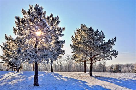 Natural Desktop Wallpaperswinter Landscape Nature