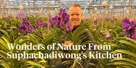 Visiting The Vanda Orchid Grower Ansu Vanda Blog On Thursd
