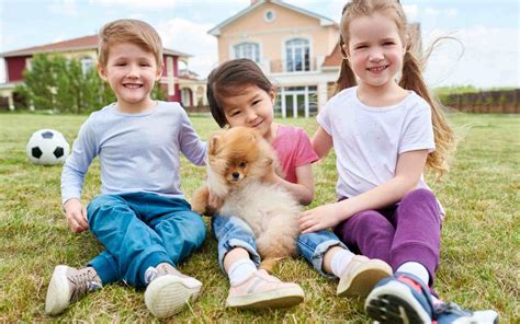 Dogs And Children How To Teach Your Dog To Interact With Kids Space