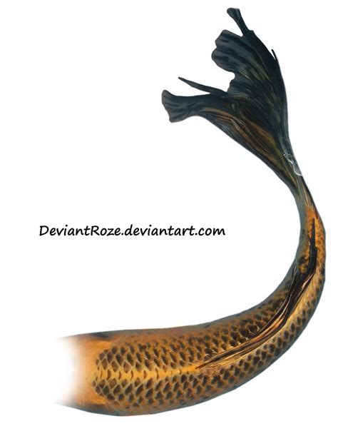 Mermaid Tail 08 Orange Koi By Deviantroze On Deviantart