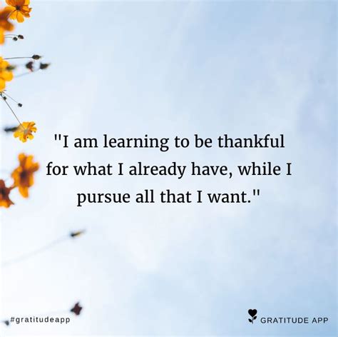 I Am Learning To Be Thankful For What I Already Have While I Pursue