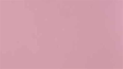 S1251 Tm Blush Pink 8 Ft X 4 Ft True Matt Finish Pastels Series Sainik