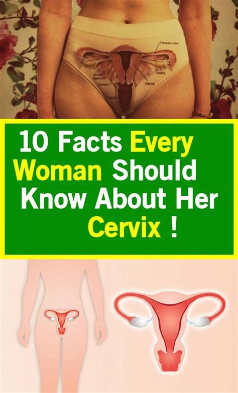 10 Facts Every Woman Should Know About Her Cervix