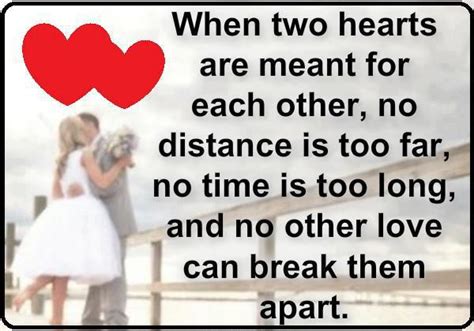 When Two Hearts Are Meant For Each Other ~ Amazing Pictures