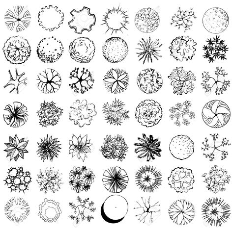 Tree Symbols Landscape Design A Set Of Treetop Symbols Architecture