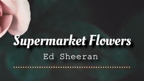 Ed Sheeran Supermarket Flowers Lyrics Video Youtube