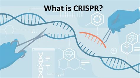 CRISPR Cas9 Explained YouTube