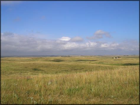 Northwestern Mixed Grasslands