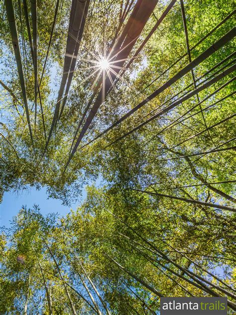 We did not find results for: East Palisades Trail: Hiking the Chattahoochee River ...