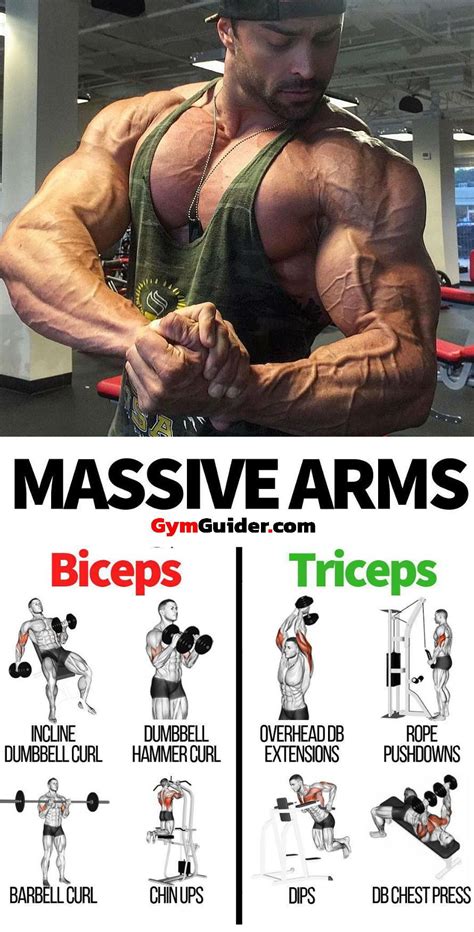 The Best Bulging Bigger Biceps Workout To Grow Your Arms Artofit