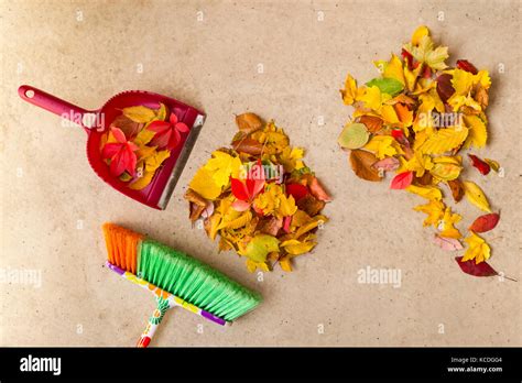 Cleaning Dry Autumn Leaves From A Concrete Floor With A Colorful Broom
