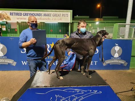 Hat Trick For Limerick Trainer Pat Buckley In English Greyhound Derby