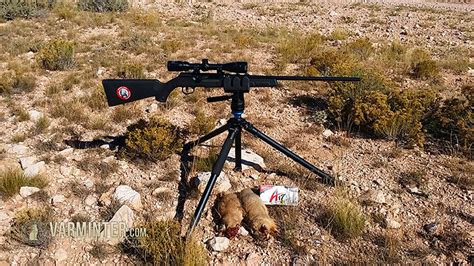 Review Of The Savage A17 Semi Auto 17hmr Rifle With Hunt Report