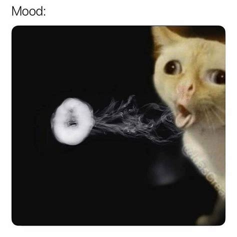 Cat Coughing Meme Smoking Devil Webzine Pictures Library