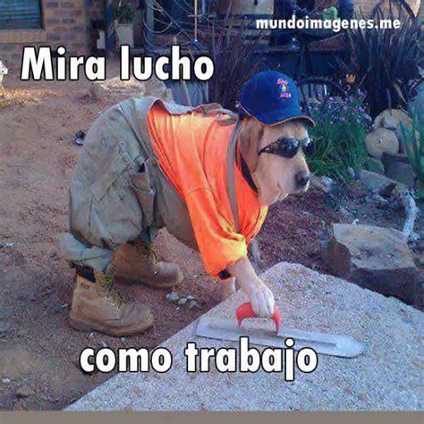 Imagenes Graciosas De Animales En Facebook Mundo Imagenes Frases