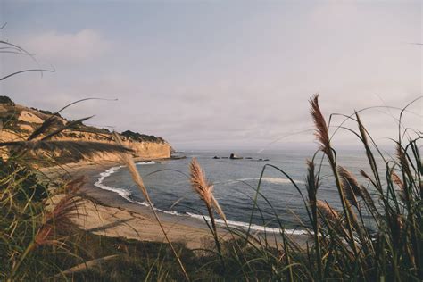 Free Images Beach Landscape Sea Coast Tree Water Nature Grass