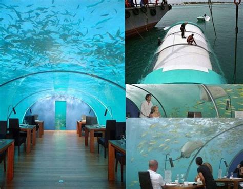 Go Cheap Travel Feel The Maldives Submarine Honeymoon Suite