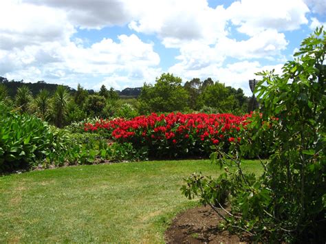 Auckland Botanic Gardens Manukau North Island New Zealand 010