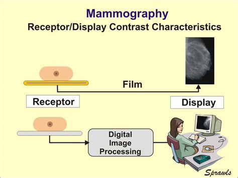 The Physics And Technology Of Mammography