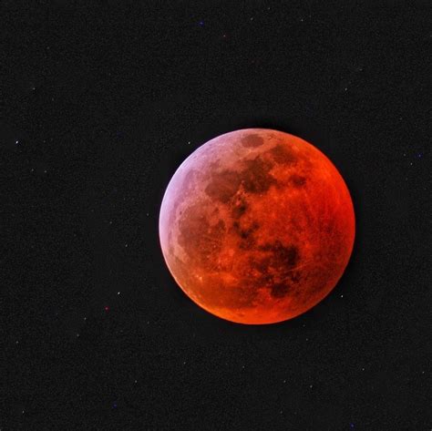 Photos Bay Area Stargazers Share Photos Of Super Blood Wolf Moon