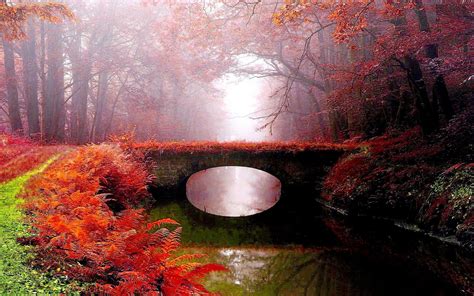 Fog Park Bridge Autumn River Wallpapers Hd Desktop