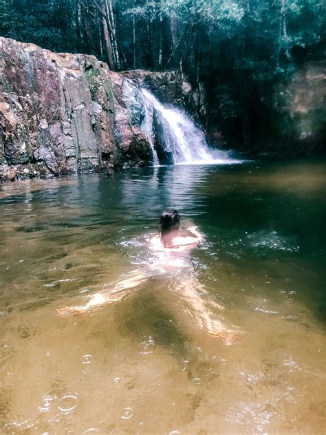 A Day Trip to Waitui Falls & Flat Rock Lookout in Coorabakh National