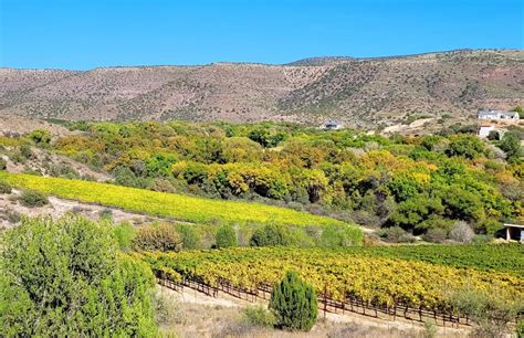 Verde Valley Wine Trail Explore The Beauty Foreverazcom