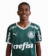 ESTEVÃO WILLIAN ALMEIDA DE OLIVEIRA GONÇALVES – Palmeiras