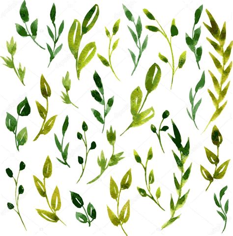 Set Of Vector Watercolor Green Branches And Leaves Hand Drawn Vector