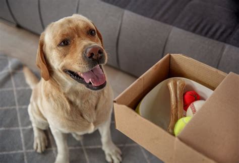 Get the best pet supplies online and in store! The Best Online Pet Stores For Dog Food Delivery And Other ...