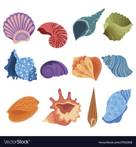 Set Cartoon Seashells A Collection Sea Royalty Free Vector