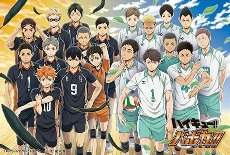 Haikyuu Characters Aoba Johsai Aoba Johsai High Haikyu Wiki Fandom