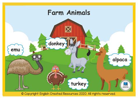 Farm Animals Flashcards And Posters English Created Resources