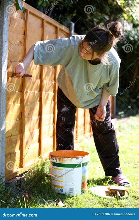 Painting The Fence Royalty Free Stock Image Image 2602706