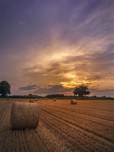 Bales In Sunset By Trixi Steigner Field Landscape Sunset Nature