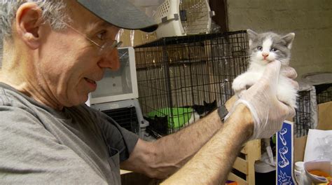 Watch A Clip From The New Documentary The Cat Rescuers Premiering At