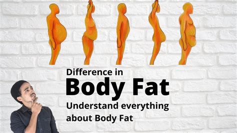 Fat Differences In Men Vs Women Visceral Fat Subcutaneous Fat