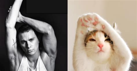 Kittens Reenact Sexy Poses On ‘men And Kittens Blog